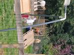 Geiten bokken, Dieren en Toebehoren, Schapen, Geiten en Varkens, Mannelijk, Geit