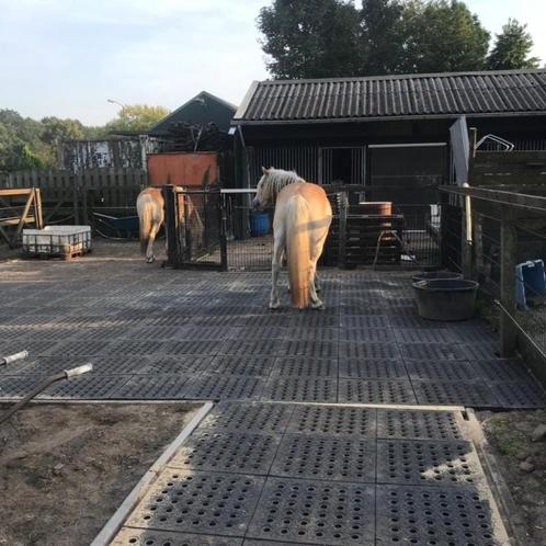 Mudmodder paddockplaten A 22,73  weidematten voor droge onde, Dieren en Toebehoren, Stalling en Weidegang, Stalling, Weidegang