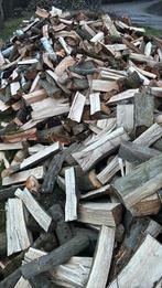 Bois frais a faire secher, Jardin & Terrasse, Bois de chauffage, Enlèvement, Bouleau