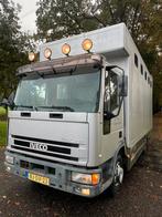 Oerdegelijke Iveco aluminium paardenvrachtwagen 3-paards!, Auto's, Vrachtwagens, Iveco, Bedrijf, Diesel, Te koop