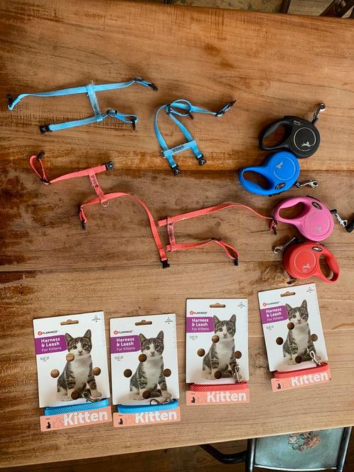 3x kittentuigjes + uitrolbare leiband van 3 meter, Dieren en Toebehoren, Kattenhalsbanden en Penningen, Gebruikt, Ophalen