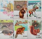Mooi lot met 6 plaques - illustraties uit school - 50s/60s, Antiek en Kunst, Ophalen of Verzenden