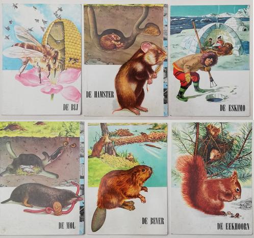 Mooi lot met 6 plaques - illustraties uit school - 50s/60s, Antiek en Kunst, Curiosa en Brocante, Ophalen of Verzenden