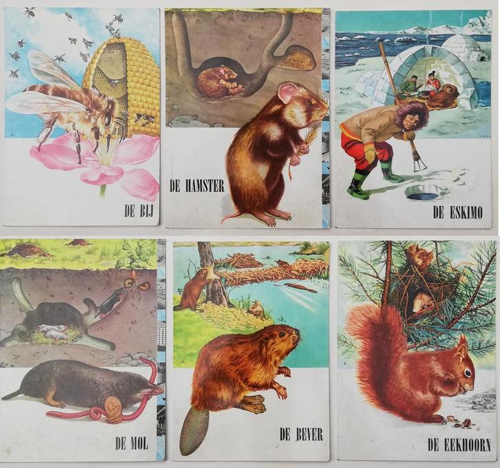 Mooi lot met 6 plaques - illustraties uit school - 50s/60s, Antiek en Kunst, Curiosa en Brocante, Ophalen of Verzenden