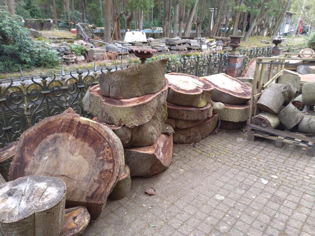 Beuken schijven, 6 m³ of meer, Ophalen, Beukenhout, Blokken