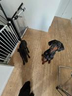 Babyhekjes zeer stevig en goede kwaliteit