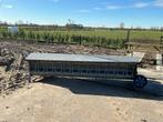 Voerbak schapen, Dieren en Toebehoren, Schapen, Geiten en Varkens, Schaap