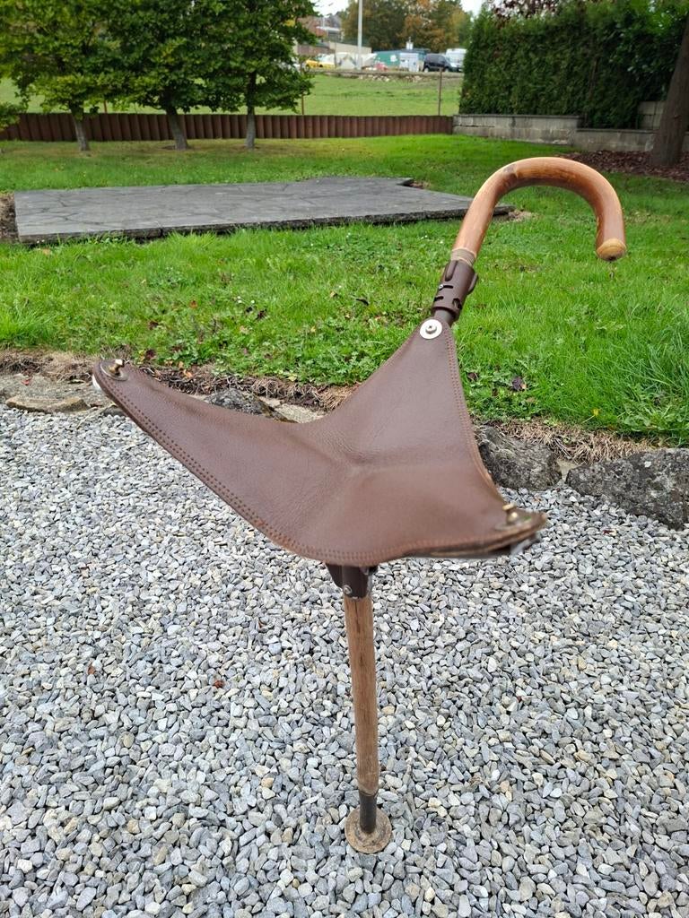 Canne siège, Sports & Fitness, Accessoires de sport de tir, Enlèvement ou Envoi