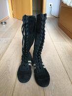 Laarzen zwart maat 36, Kleding | Dames, Schoenen, Hoge laarzen, Zwart, Ophalen of Verzenden, Zo goed als nieuw