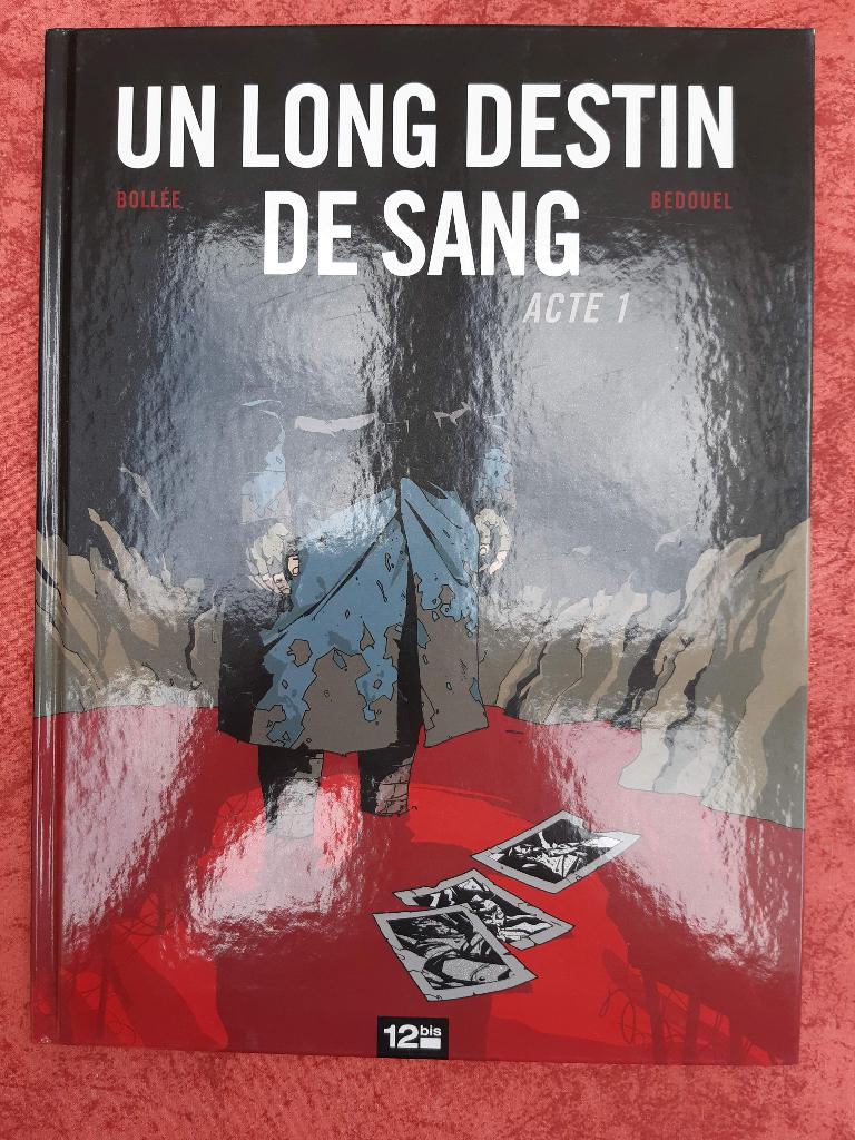 BD Un long destin de sang, Livres, BD, Enlèvement