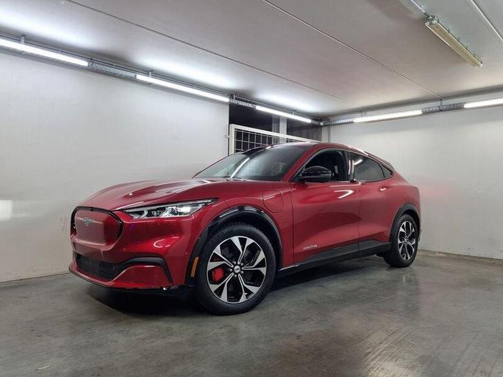 Ford Mustang Mach-E, Autos, Ford, Entreprise, Achat, Mustang, Électrique, Euro 6, Berline, 5 portes, Automatique, Autres couleurs