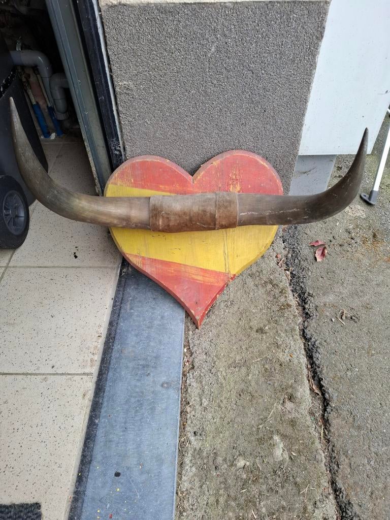 Corne à restaurer, Enlèvement