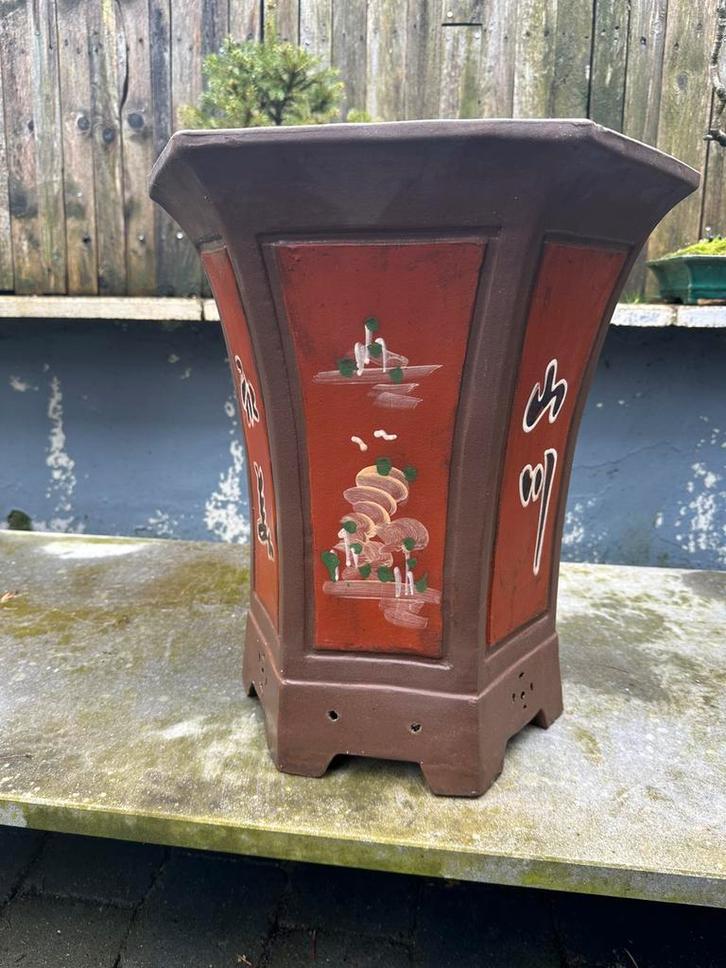 Tres beau pot pour bonsaï cascade ( très grand ), Jardin & Terrasse, Plantes | Arbres, Enlèvement