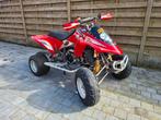 Quad GasGas HP Wild 450 avec papiers
