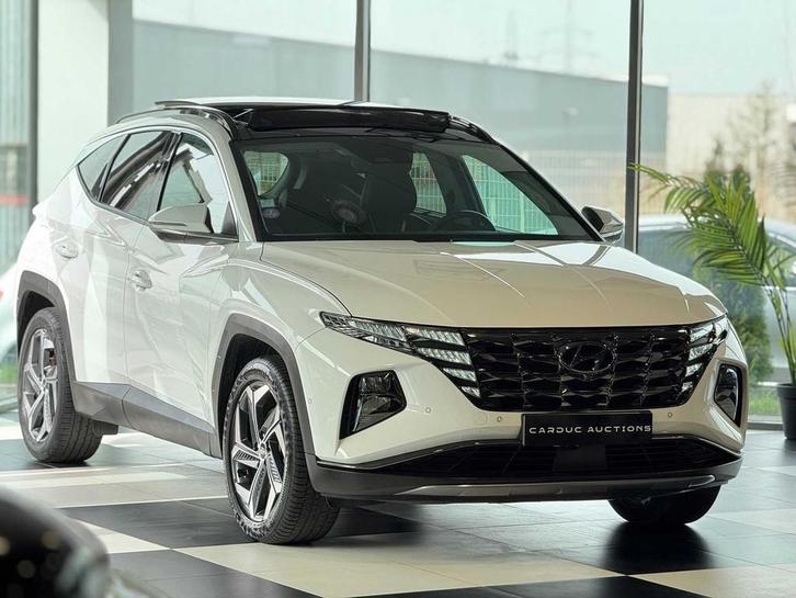 HYUNDAI TUCSON 1.6 T-GDI 265 TRAC PLUG-IN BVA6 EXECUTIVE - 2, Autos, Hyundai, Entreprise, Tucson, Autres carburants, Autre carrosserie