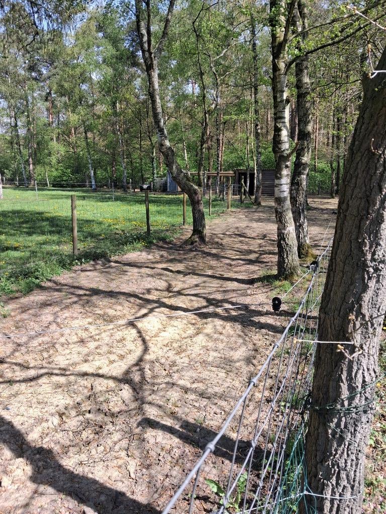 Weide met stalling vol pension 24/7 weidegang en buitenpiste, Weidegang, 1 paard of pony