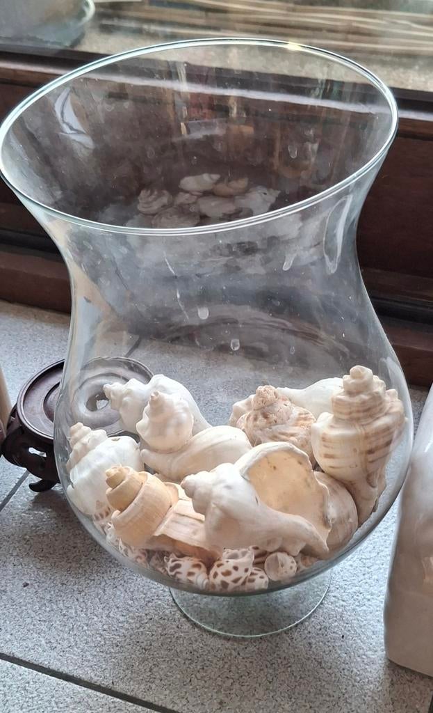 Vase décoration ou aquarium pour 1 poisson