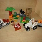 Panthères du zoo Duplo, Enfants & Bébés, Jouets | Duplo & Lego, Enlèvement ou Envoi, Duplo