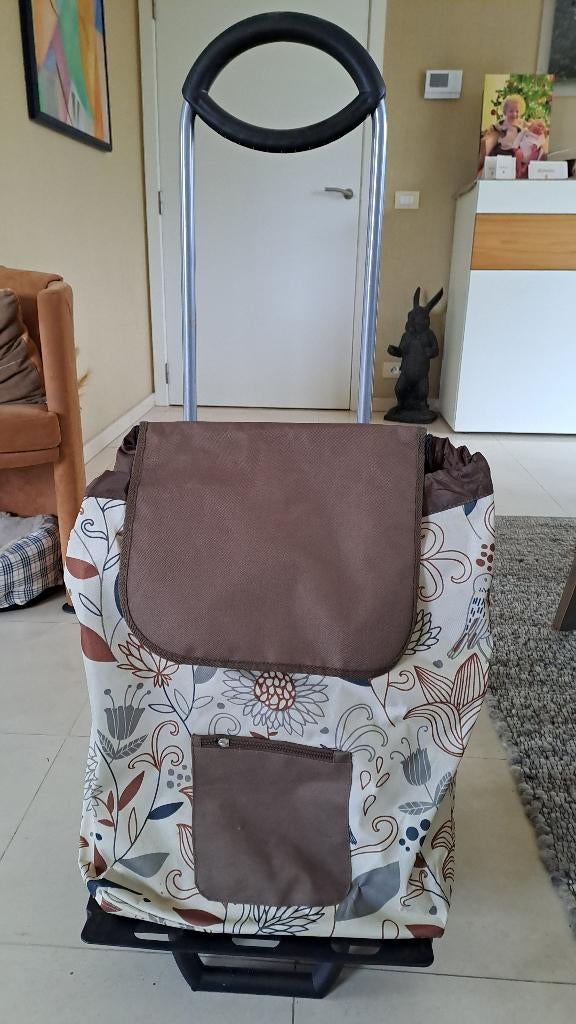 Boodschappen trolley, Ophalen