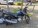 Ybr 125, Motos, Scooter, 125 cm³, Particulier, 1 cylindre