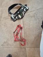 Honden tuigjes  halsband en leiband, Dieren en Toebehoren, Ophalen