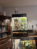 Exo terra, Ophalen, Gebruikt