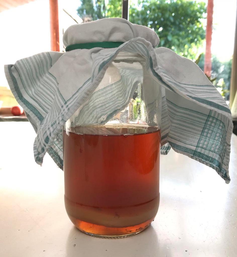 Kombucha Starterspakket, om te starten met 1L thee, Divers, Produits alimentaires, Enlèvement