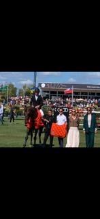 Hermes deken paard, Dieren en Toebehoren, Ophalen, Nieuw, Deken