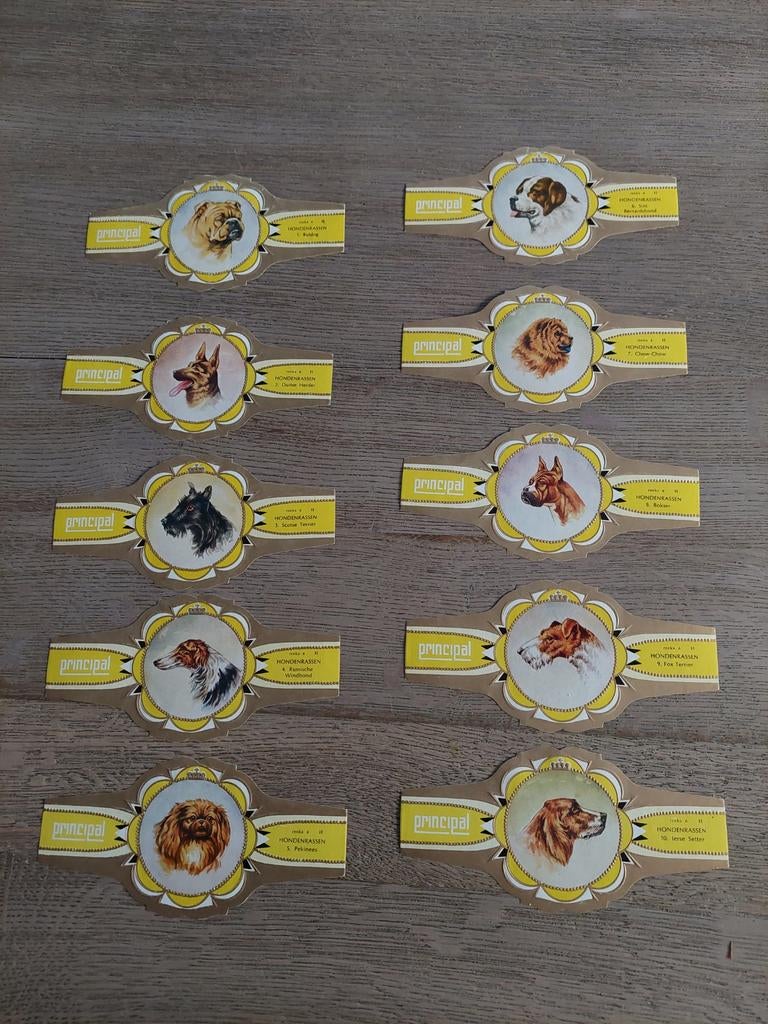 grote sigarenbandjes Principal hondenrassen reeks 6, Ophalen, Sigarenbandjes