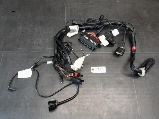 900SS 1998 - 2002 Ducati Kabelboom Kabelboom hoofd D1-61468, Motoren, Onderdelen | Ducati