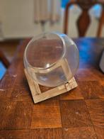 Air plants glazen container, Huis en Inrichting, Ophalen of Verzenden