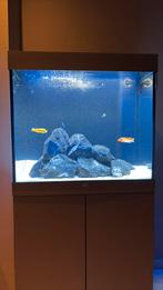 Juwel Lido 200, Dieren en Toebehoren, Ophalen, Zo goed als nieuw