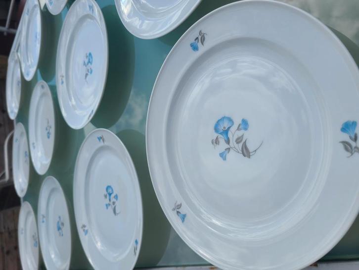 Porselein Rosenthal Speiseteller Serie Helena, Antiek en Kunst, Antiek | Servies compleet, Ophalen