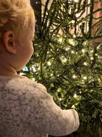 Valse kerstboom, Diversen, Ophalen