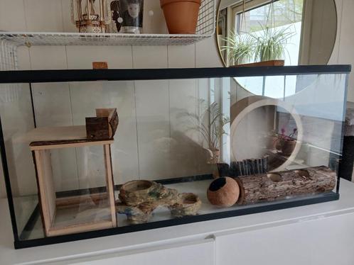 Aquarium hamster en speeltuigen, Dieren en Toebehoren, Knaagdieren, Hamster