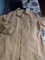 pantalon veste femme, Neck, Ophalen of Verzenden, Nieuw