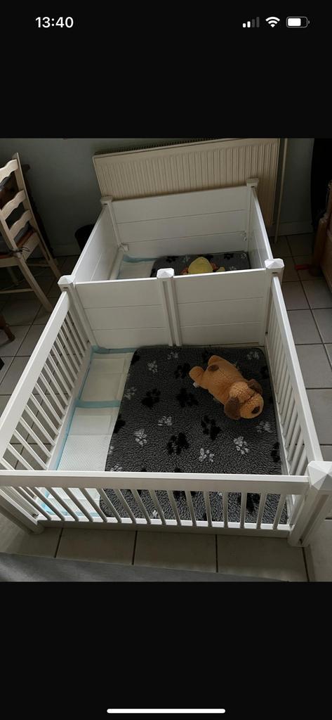 Werpkist te huur, Dieren en Toebehoren, Hondenhokken, Zo goed als nieuw, Ophalen