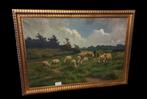 Henri Matthijs (XIX-XX) schapen met herder., Antiek en Kunst, Ophalen