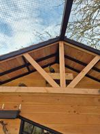 Op zoek naar witwangtoerako pop, Dieren en Toebehoren, Vogels | Overige Vogels, Vrouwelijk, Tropenvogel