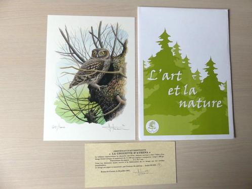 Genummerde tekening Buzin Steenuil met certificaat 35/400, Postzegels en Munten, Postzegels | Europa | België, Ophalen of Verzenden