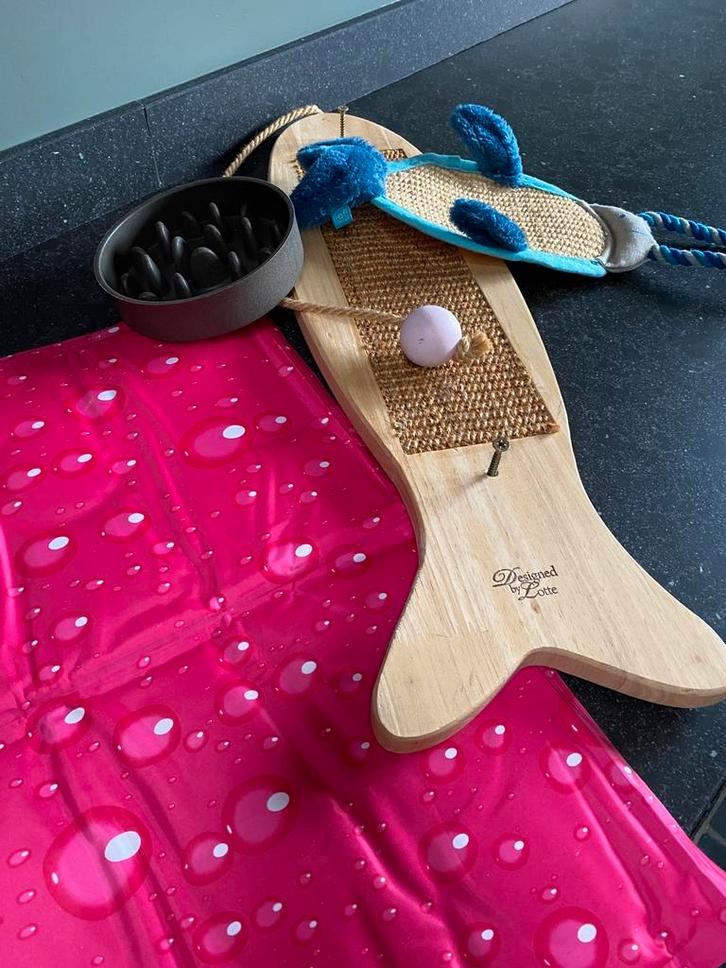 Équipement pour chat, Animaux & Accessoires, Accessoires pour chats, Comme neuf, Enlèvement