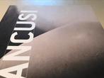 Constantin Brancusi Sculptures 240pag, Boeken, Kunst en Cultuur | Beeldend, Ophalen of Verzenden, Zo goed als nieuw, Beeldhouwkunst