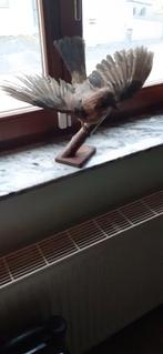 oiseaux empaillés, Enlèvement, Comme neuf, Oiseaux