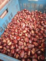 Grosses Châtaignes Fraîches 4€/kg, Diversen, Levensmiddelen, Ophalen