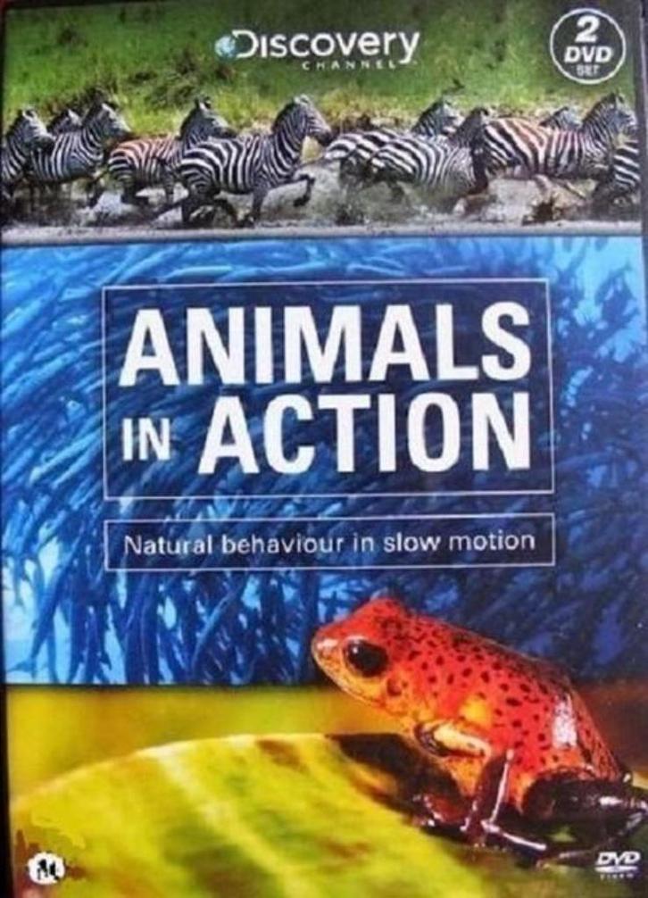 Discovery Channel : Animals In Action ( 2 dvd’s), Cd's en Dvd's, Dvd's | Documentaire en Educatief, Natuur, Ophalen of Verzenden