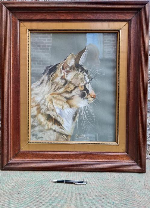 Reuze Pastel van een grote tijgerachtige boskat, Antiek en Kunst, Kunst | Schilderijen | Klassiek, Ophalen of Verzenden