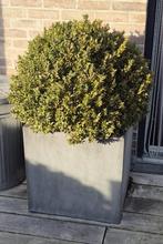 Bloembak, Ophalen, Kunststof, Gebruikt, Vierkant