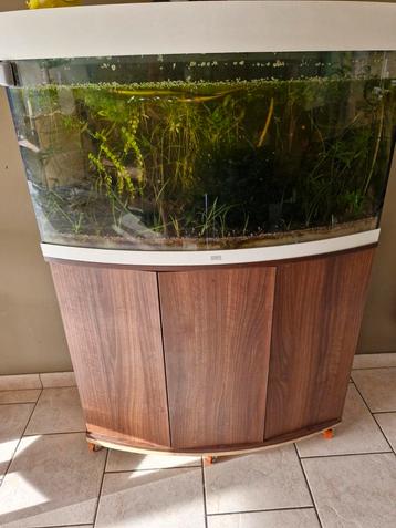 Aquarium met vissen en toebehoren