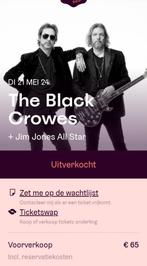 1 ticket voor The Black Crowes in de AB 21/05, Tickets en Kaartjes, Concerten | Rock en Metal, Mei, Eén persoon
