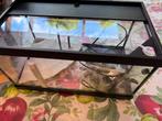 Volledig turtle aquaterrarium schildpadje met toebehoren, Dieren en Toebehoren, Ophalen, Zo goed als nieuw